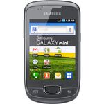 Смартфон Samsung Galaxy Mini (S5570i)